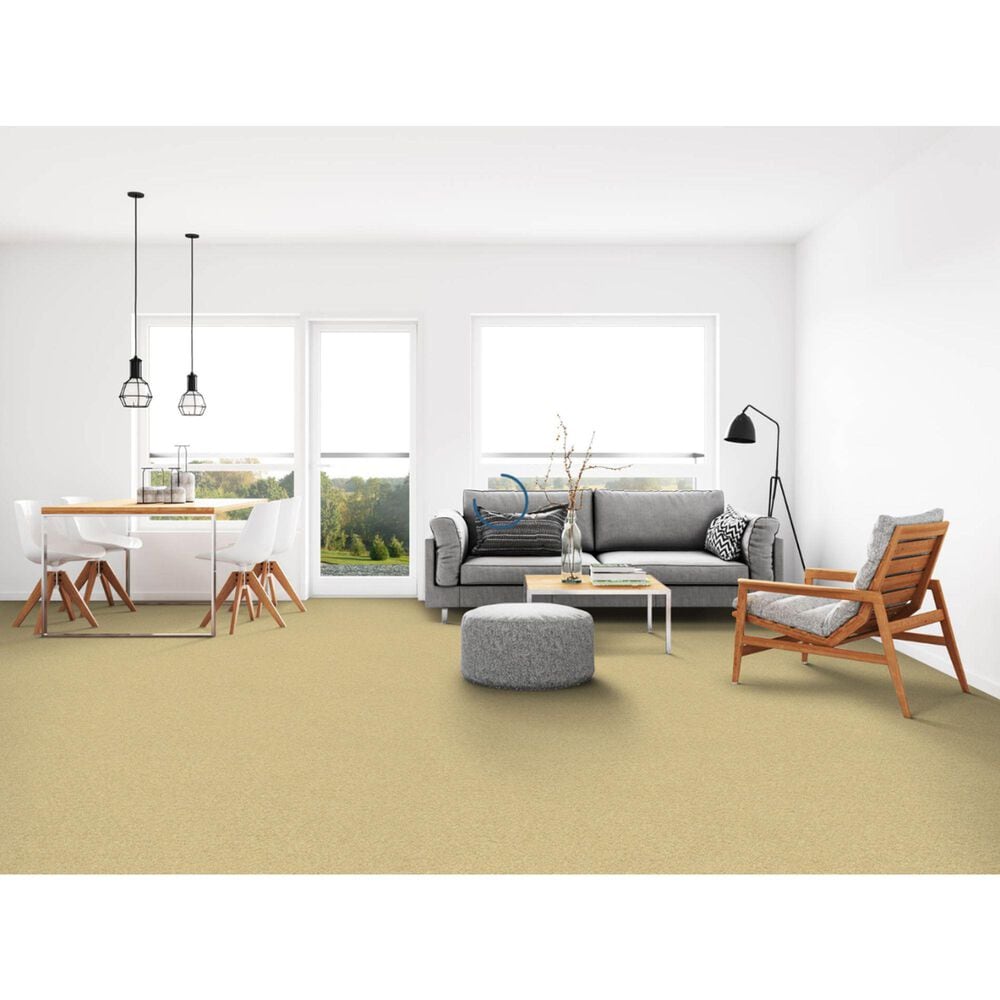 Dixie Home Simplicity Carpet in Suede, , large