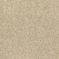 Fabrica Tundra Carpet in Ginger Root, , large