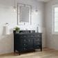 James Martin Vanities Brittany 48" Single Bathroom Vanity in Black Onyx with 3 cm Parisien Bleu Quartz Top and Rectangular Sink, , large