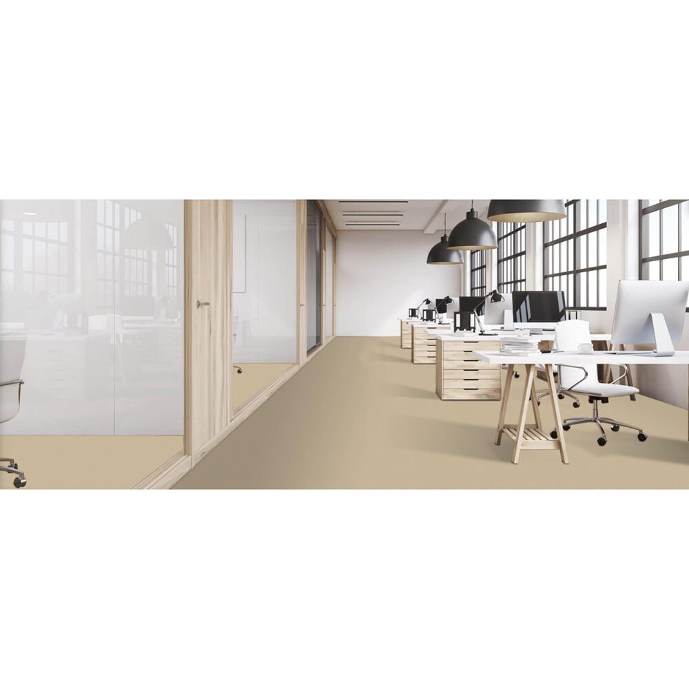 Masland Miami Carpet in Bar Harbor, , large