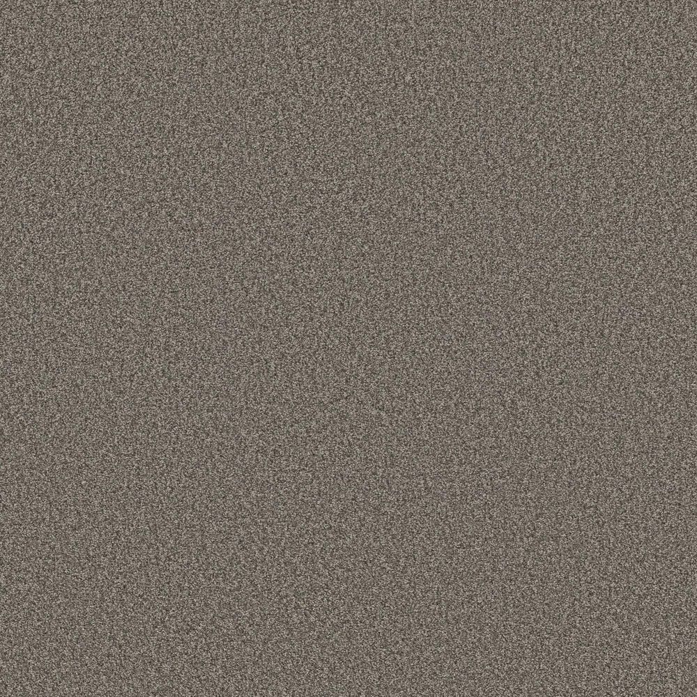 Shaw Tonal Comfort Ii Carpet in French Market, , large