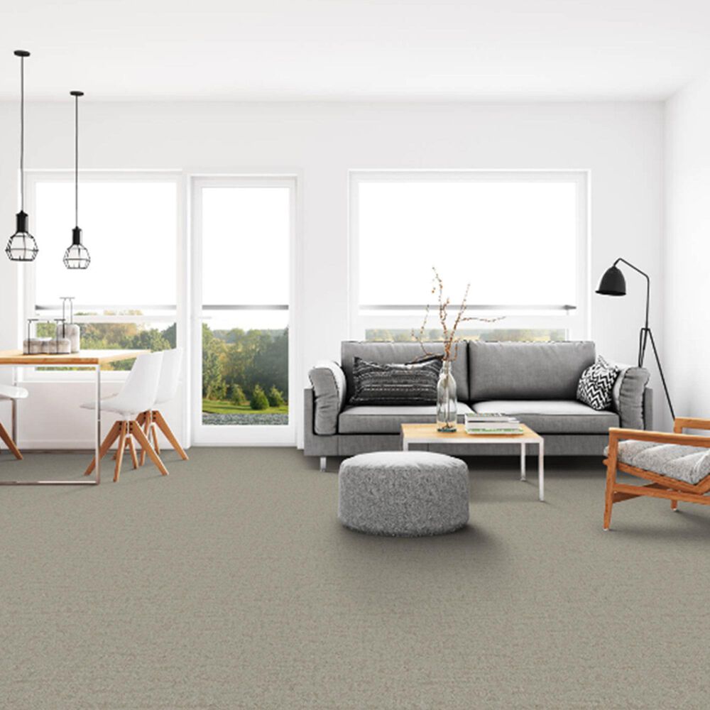 Dixie Home Genuine Carpet in Actual, , large
