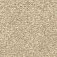 Dixie Home Carefree Carpet in Granite, , large
