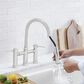 Blanco Empressa Pull-Down Faucet in Polished Nickel, , large
