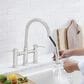 Blanco Empressa Pull-Down Faucet in Polished Nickel, , large