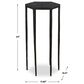 Uttermost Aviary Accent Table in Satin Black, , large