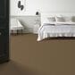 Anderson Tuftex Path Carpet in Trail, , large