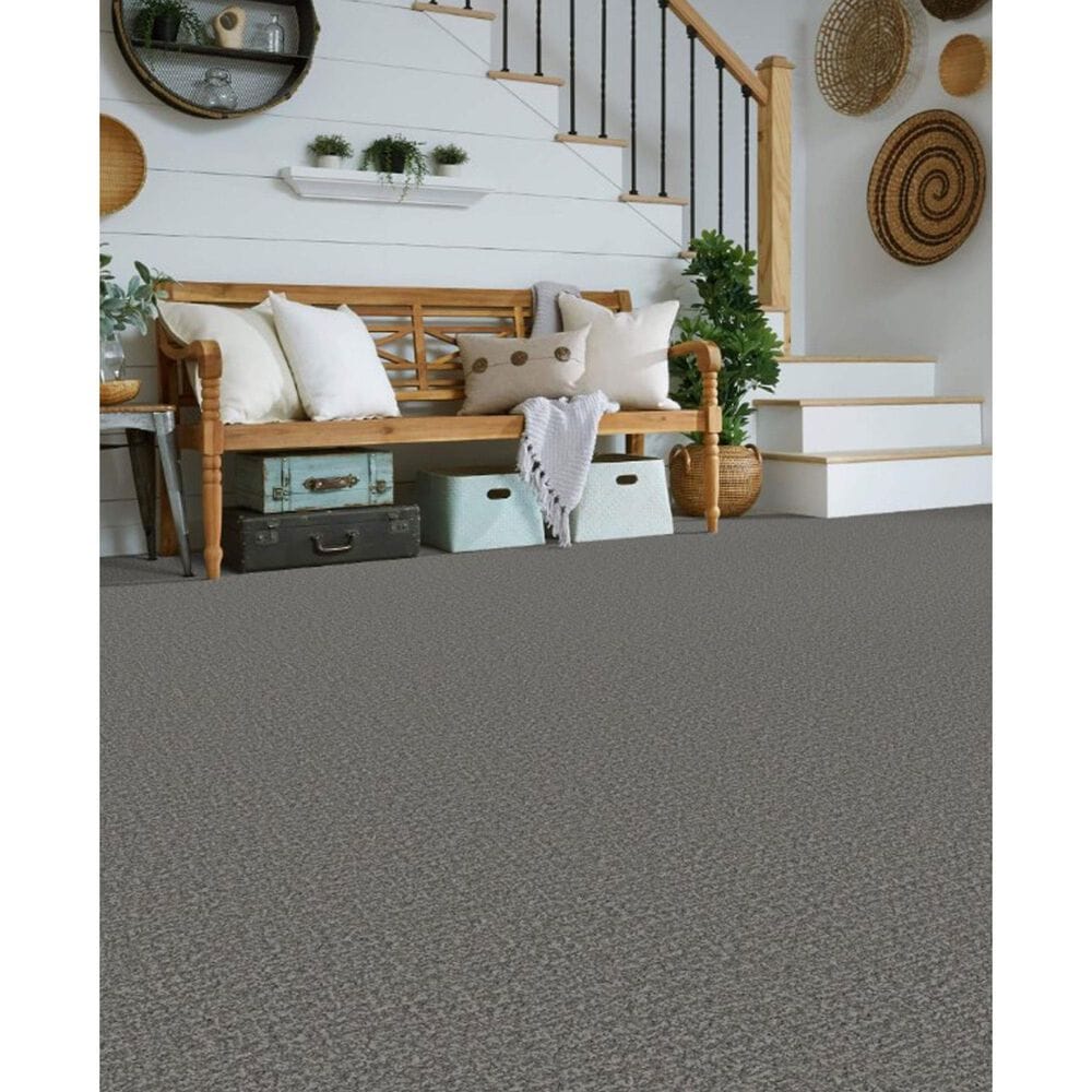 Masland Offspring Carpet in Chew-Barka, , large
