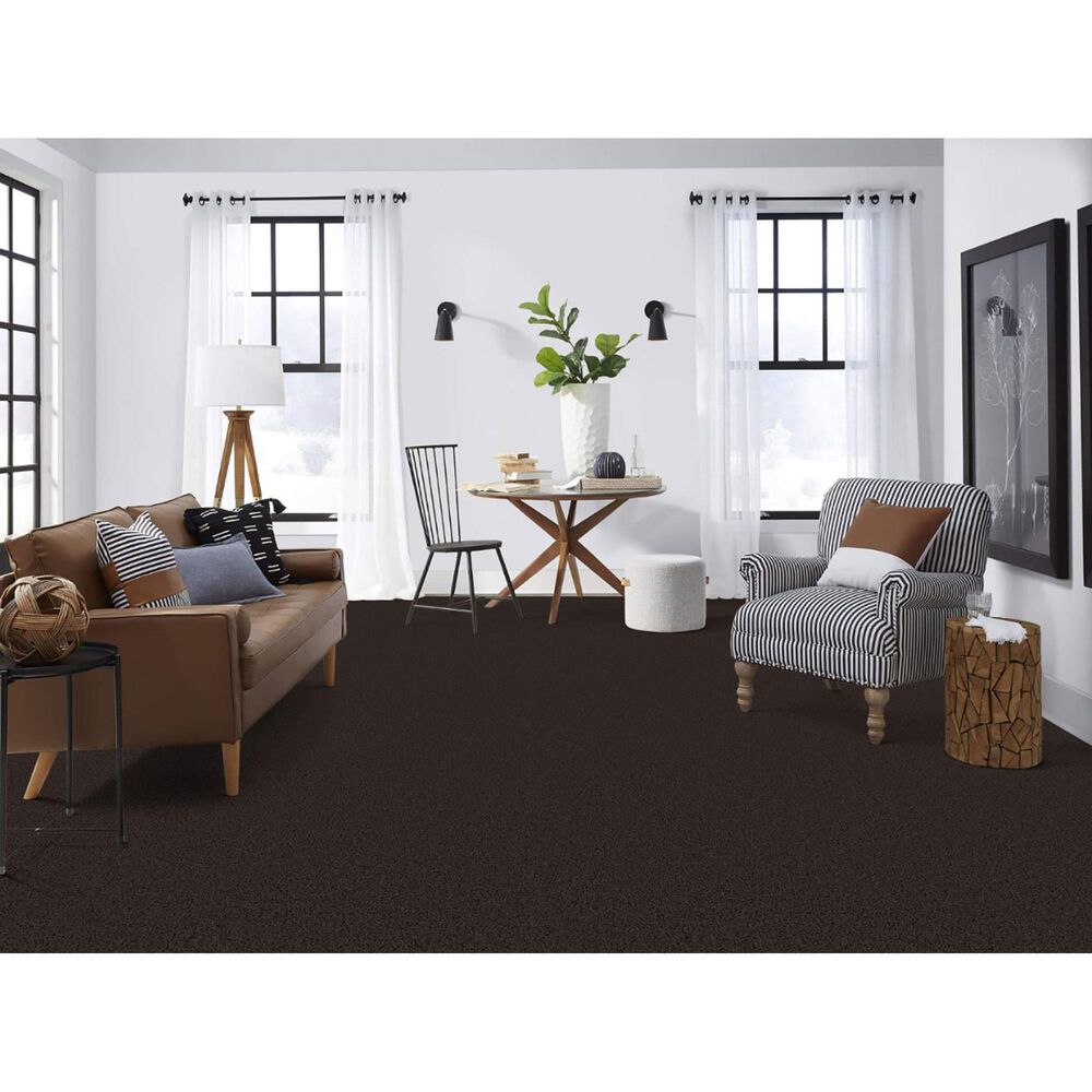Masland Indulgence Carpet in Black Olive, , large