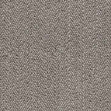 Anderson Tuftex Always Natural Carpet in Shady, , large