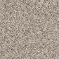 Shaw Frosting Carpet in Glacier, , large