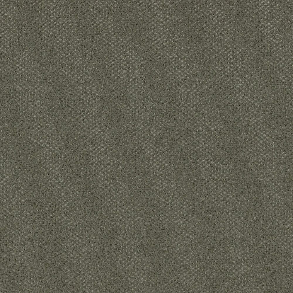 Shaw Austin Park Carpet in Cedar Glen, , large