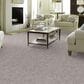 Anderson Tuftex Caress Free Spirit Carpet in Minimal, , large