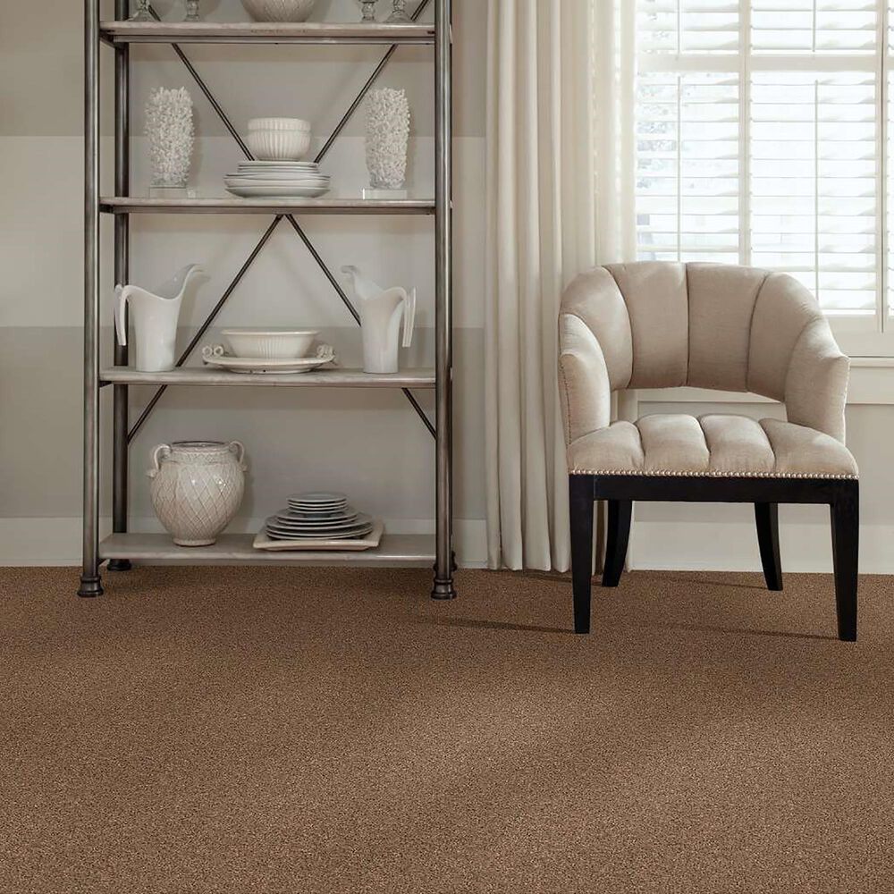 Philadelphia Simply Yours Remember Me Carpet in Pecan Praline, , large