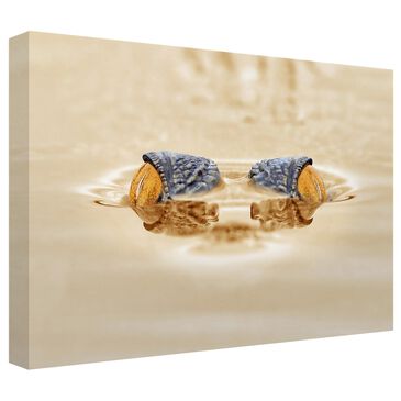 Timberlake The Gold Eye 12" x 19" Canvas Art in White/Brown/Tan, , large