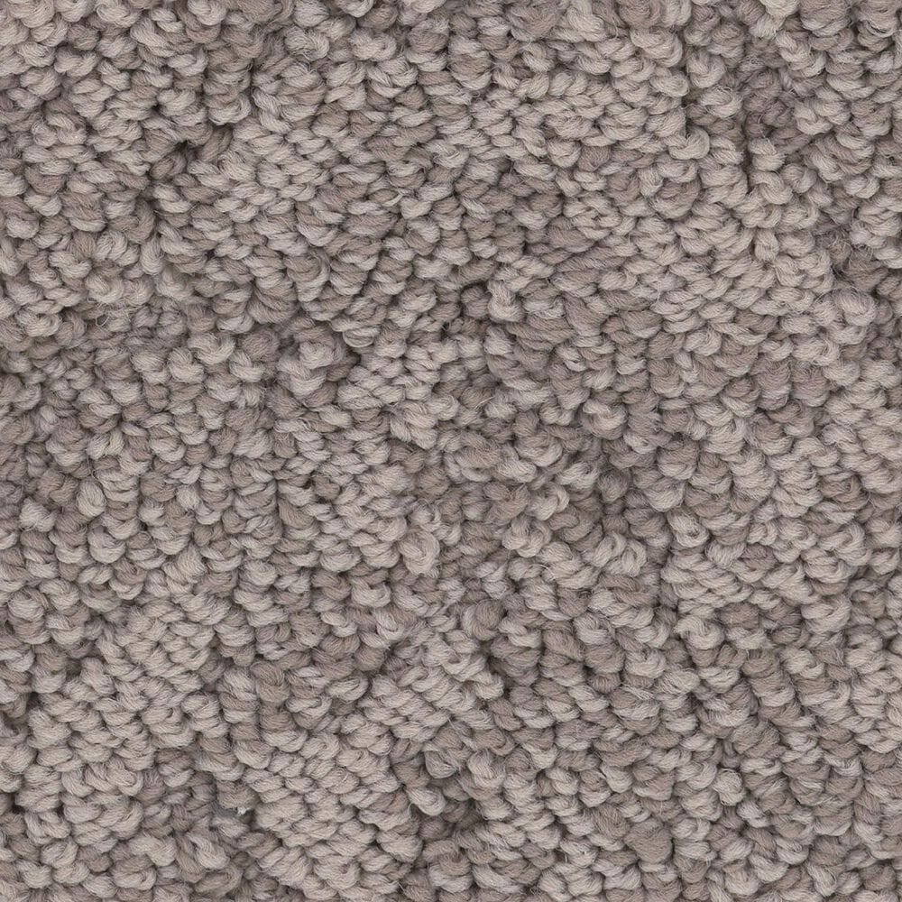Anderson Tuftex Lavish Living Carpet in Ridgeview, , large