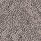 Anderson Tuftex Lavish Living Carpet in Ridgeview, , large