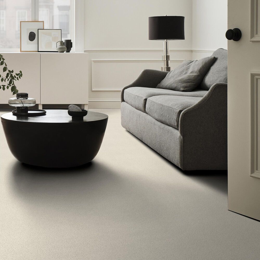 Shaw Tonal Comfort Ii Carpet in Champagne Toast, , large