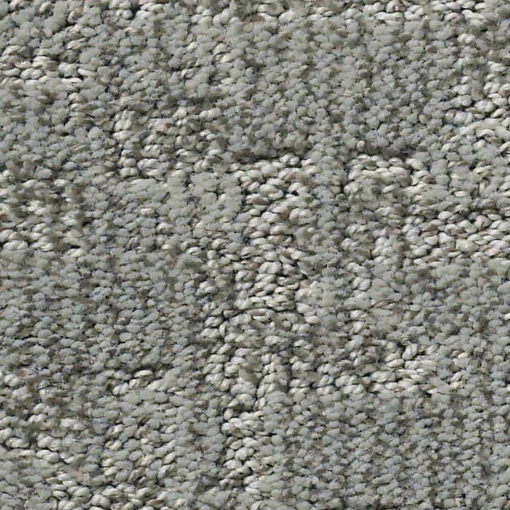 Anderson Tuftex Paw-Tay Carpet in Avon, , large