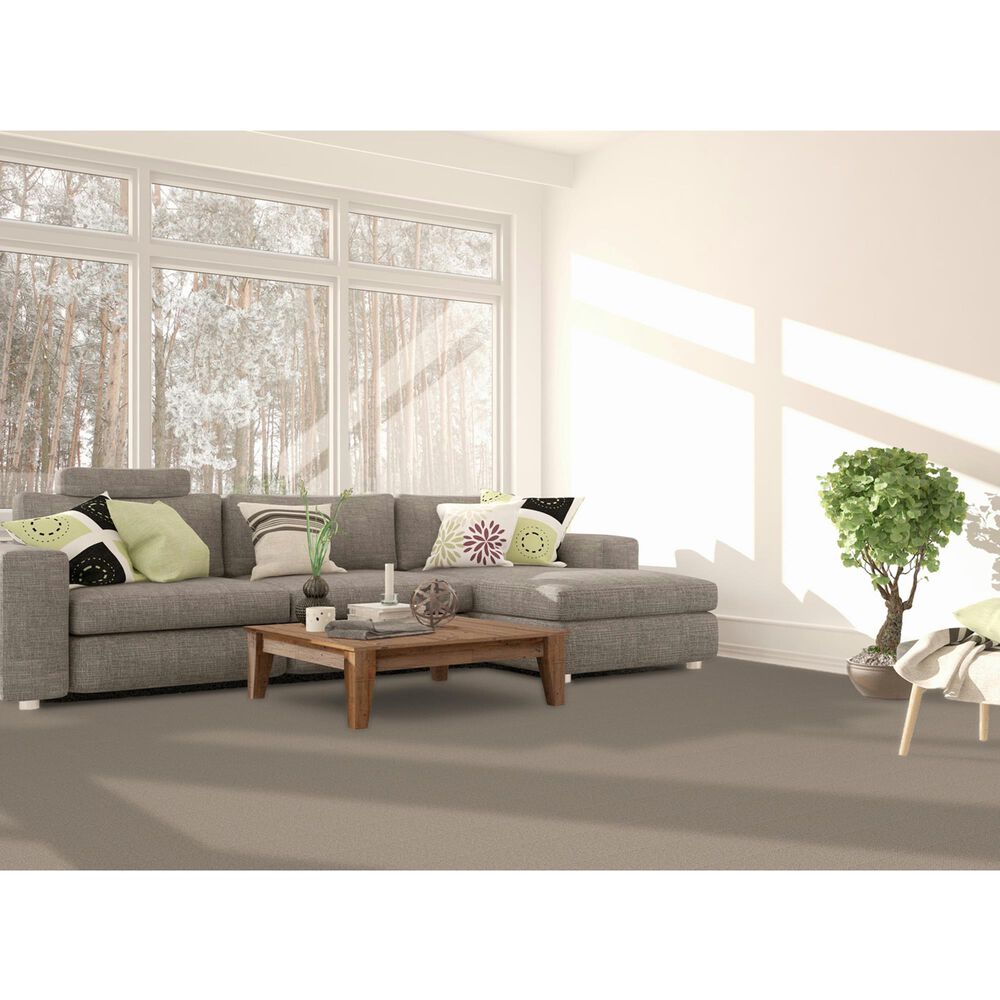 Dream Weaver East Hampton 2550 Carpet in Acorn, , large