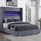 Coaster Tisdall Queen Upholstered Fireplace Bed in Grey, , large