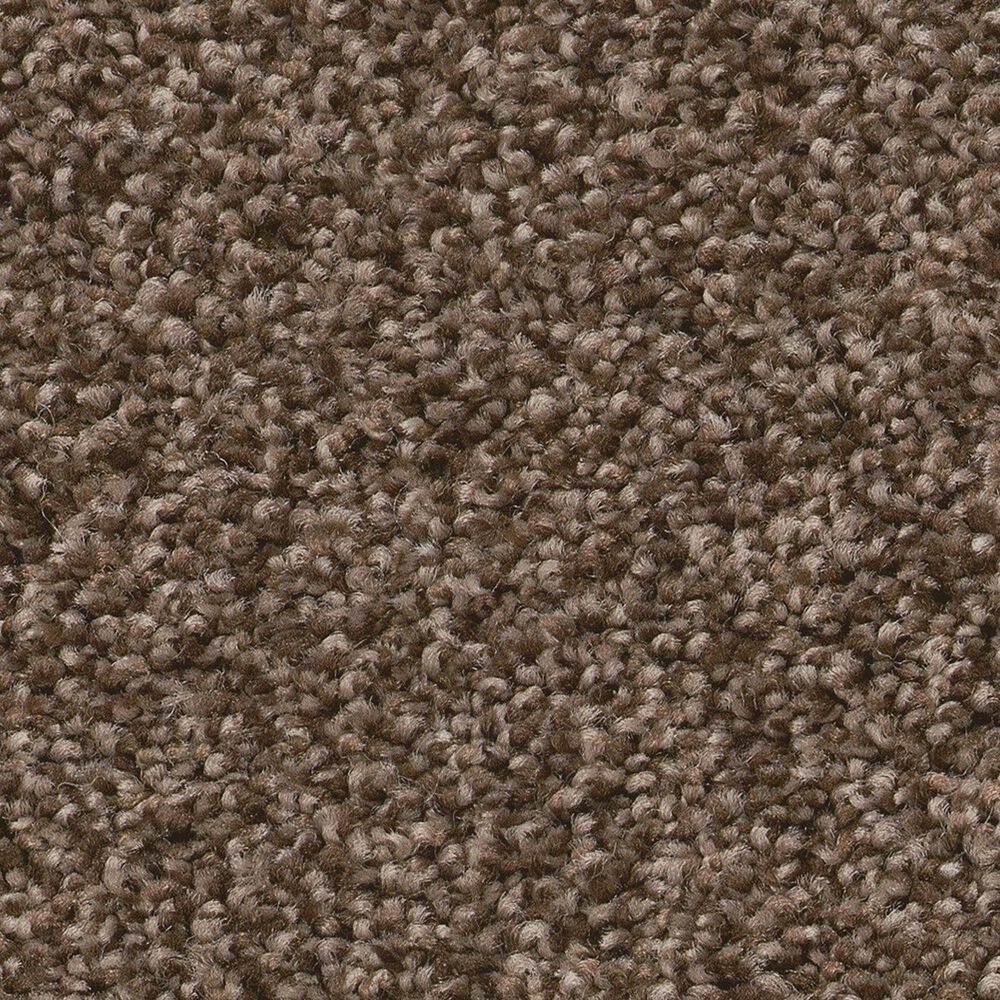 Shaw Pure Comfort II Carpet in Cliff Hiking, , large