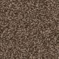 Shaw Pure Comfort II Carpet in Cliff Hiking, , large