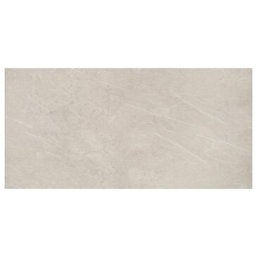 Dal-Tile Resilience Dynamic Beige 12" x 24" Ceramic Tile, , large