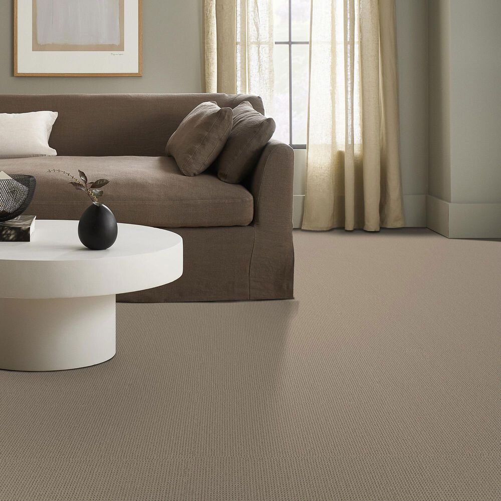 Anderson Tuftex Arden Park Carpet in Sandstorm, , large