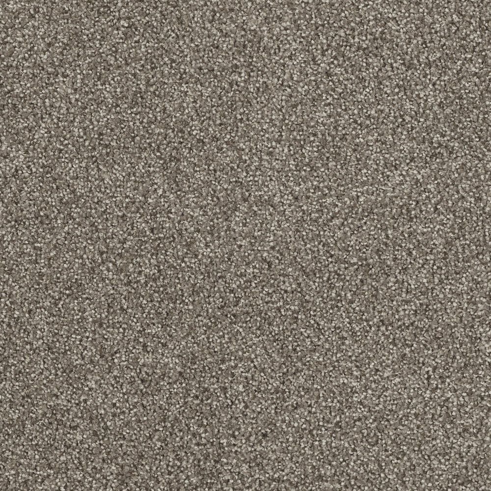Dream Weaver Hollywood Carpet in Baltic Birch, , large
