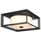 Golden Lighting Smyth 2-Light Outdoor Flush Mount with Opal Glass Shade in Natural Black, , large