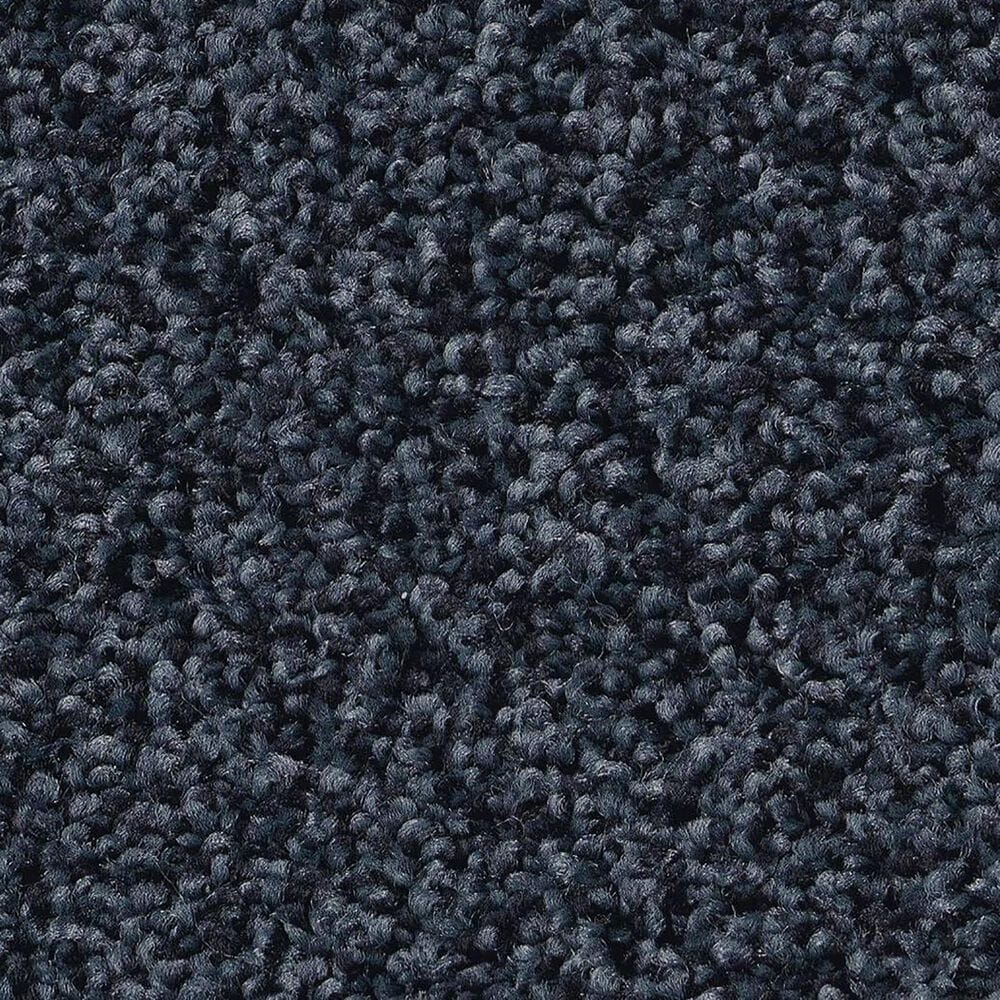 Shaw Tonal Comfort Ii Carpet in Under The Stars, , large
