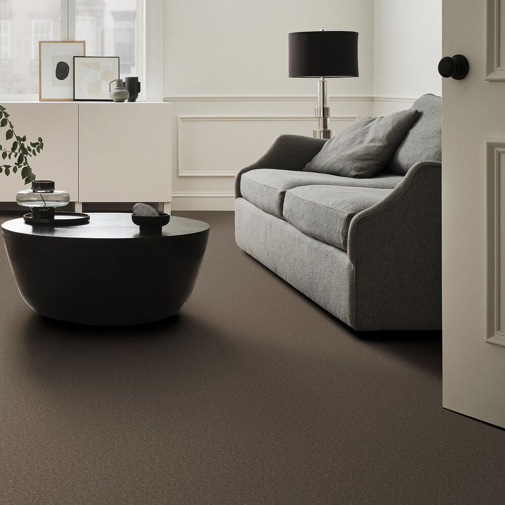 Anderson Tuftex Enduring Charm Carpet in Moonbeam, , large