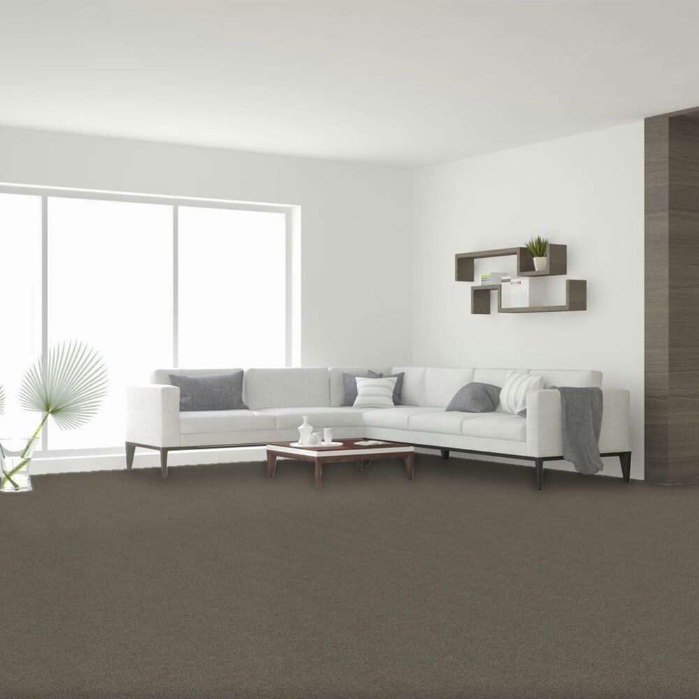 Dream Weaver Luxor II Carpet in Castle, , large