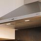 Zephyr Pro 42" Siena Wall Mount Range Hood in Stainless Steel, , large