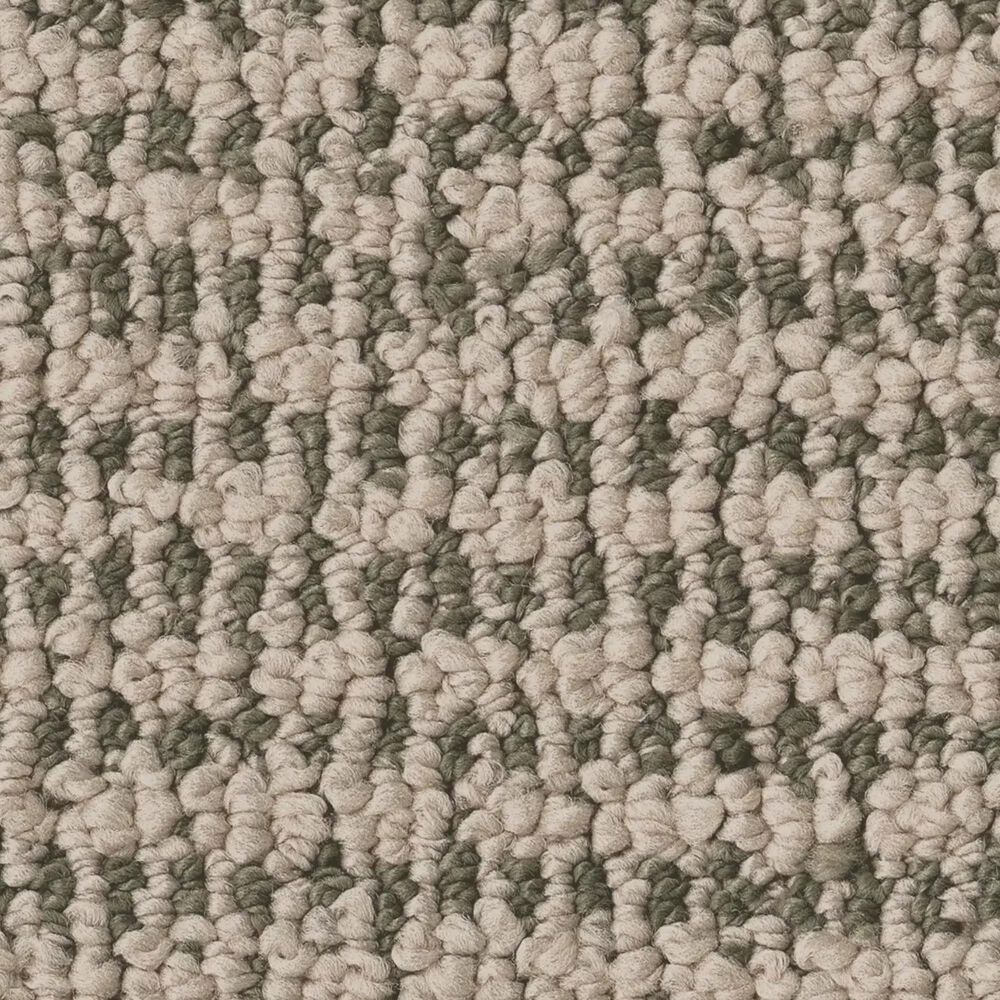 Anderson Tuftex Laine Carpet in Palmetto, , large