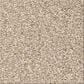 Shaw Comforting I Carpet in Mesa, , large