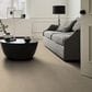 Shaw Tonal Comfort Ii Carpet in Walk On The Beach, , large