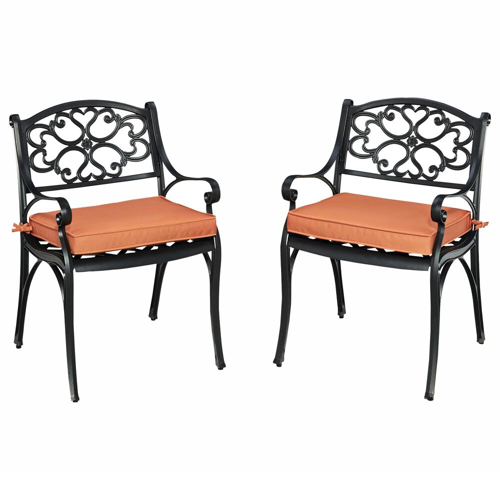 Homestyles Sanibel Chair & Cushion in Black (Set of 2), , large