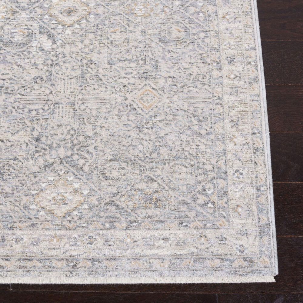 Safavieh Webster WBS334G 4&#39; x 6&#39; Grey and Beige Area Rug, , large