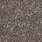 Shaw Grand Outlook Carpet in Homestead, , large