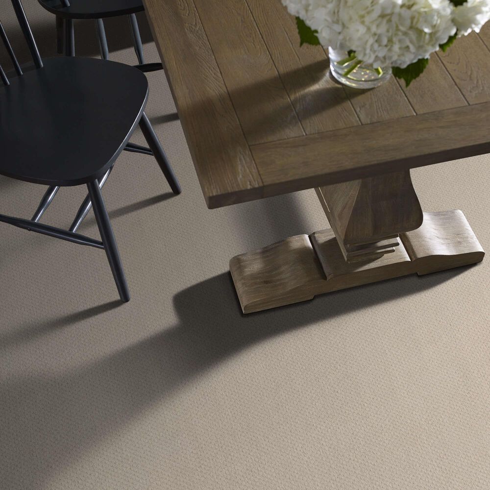 Shaw Austin Park Carpet in Alabaster, , large