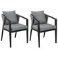 Blue River Aileen Outdoor Dining Chair with Dark Gray Cushion in Black and Gray (Set of 2), , large