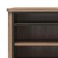 DHP Damson 67" TV Stand with Electric Fireplace in Danish Walnut and Black, , large