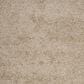 Safavieh Athens Shag SGA119G-4 4" x 6" Beige Area Rug, , large