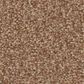 Shaw Tonal Comfort Ii Carpet in Terracotta Pot, , large