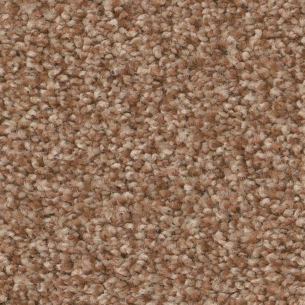 Shaw Tonal Comfort Ii Carpet in Terracotta Pot, , large