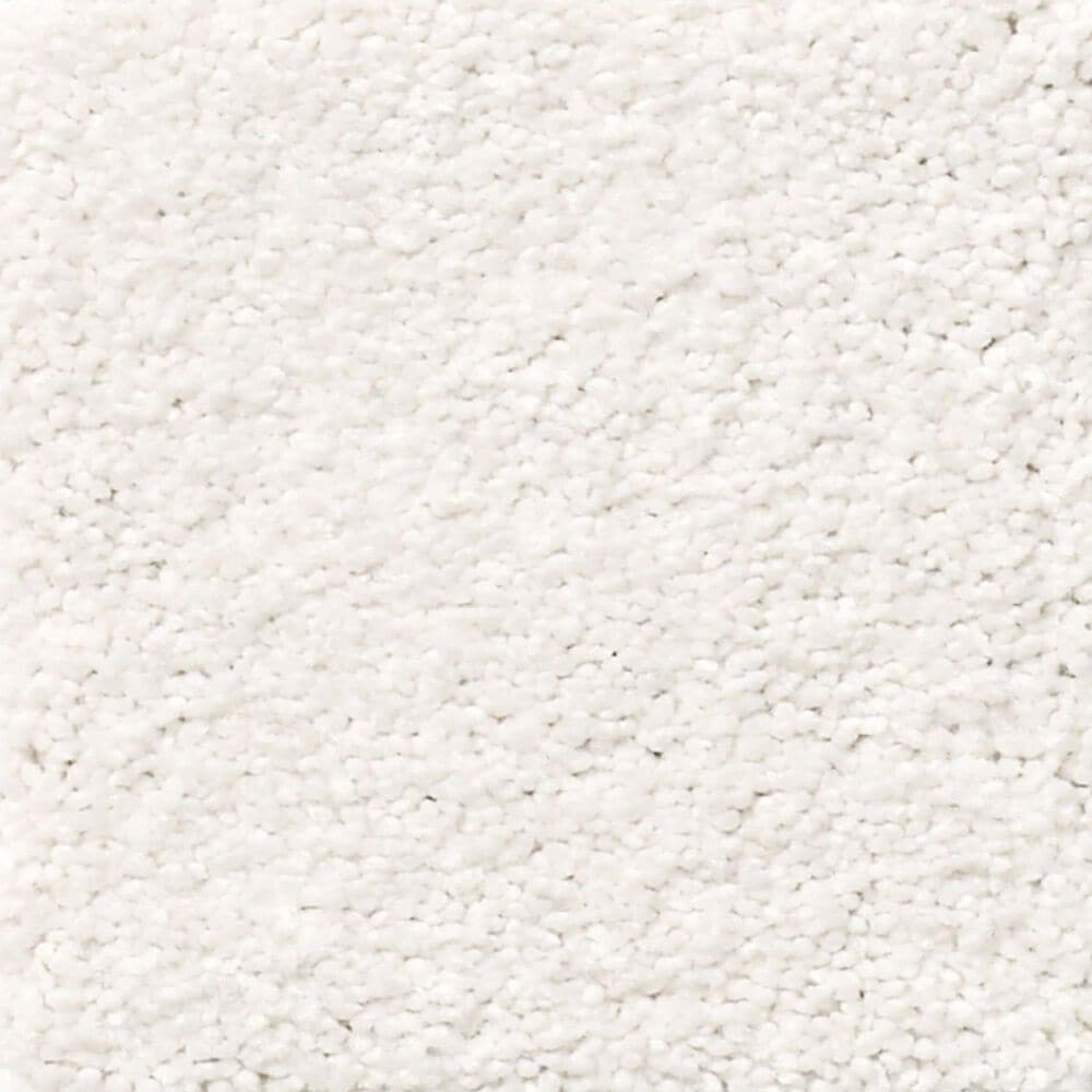 Shaw Find Your Comfort NS II Carpet in Neighborhood Bistro, , large