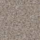 Shaw Boundless I Carpet in Creamery, , large