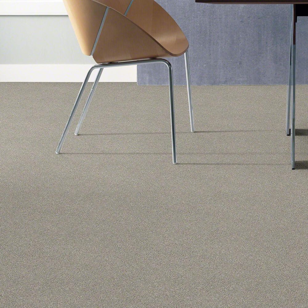Philadelphia Basic Rules Carpet in Platinum, , large